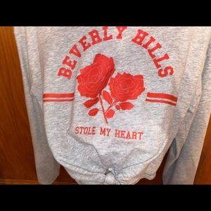 Beverly Hills rose  pull over sweater